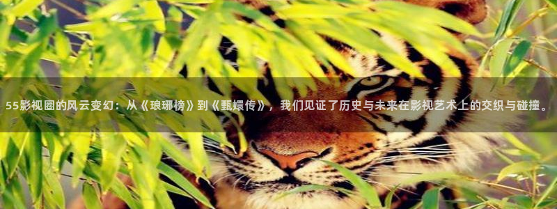 全职猎人免费观看完整版樱花动漫