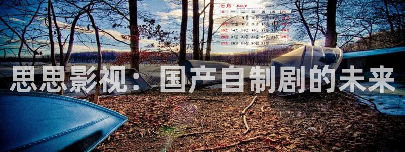 overflow樱花视频