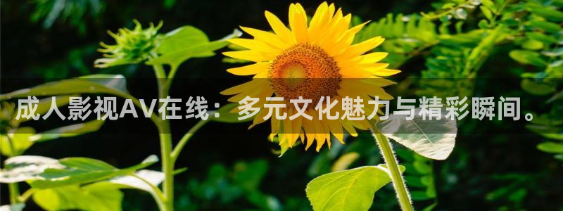 一念永恒樱花动漫免费观看高清