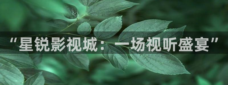 从天而降的女子樱花动漫完整观看