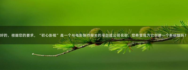 围棋少年在线观看动漫樱花