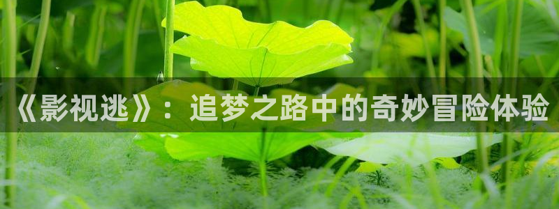 免费观看雷火剑樱花动漫全集