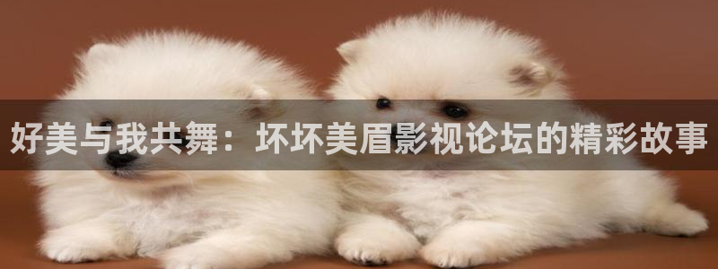 石纪元樱花动漫在线观看