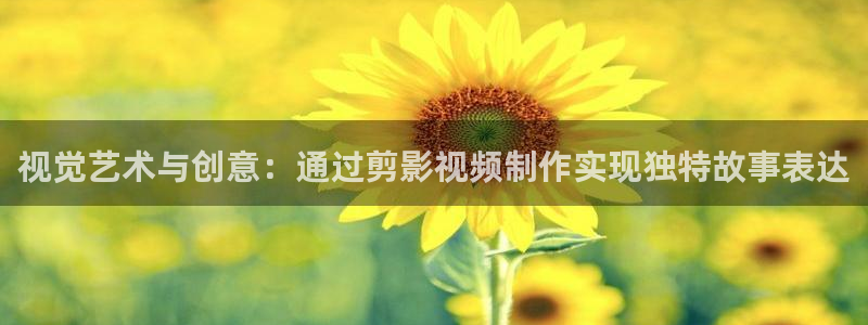 光之美少女免费观看樱花