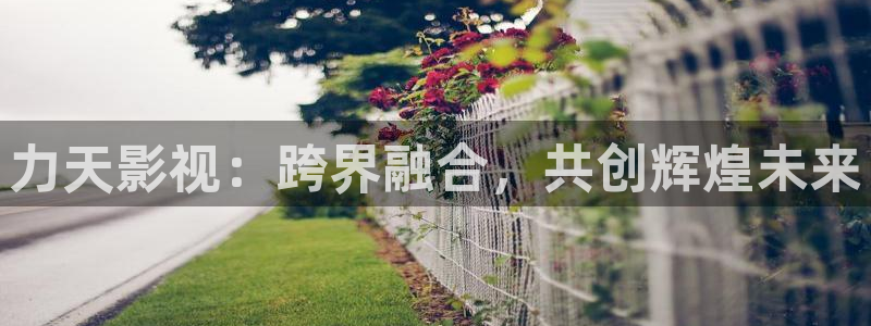 樱花视频4
