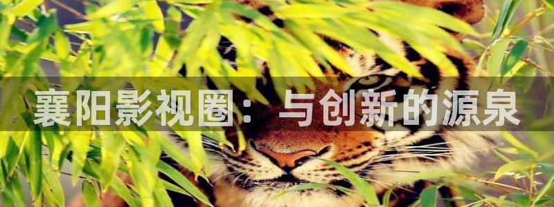 樱花热水器安装视频