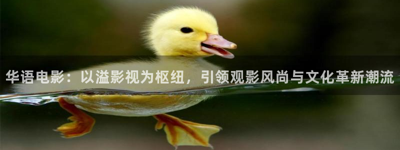 樱花动漫免费官网